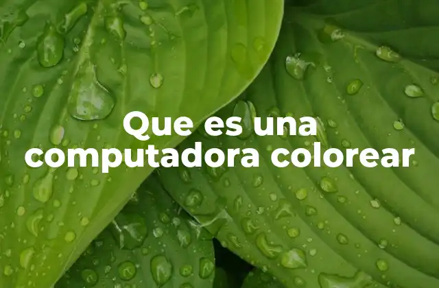 Que es una Computadora Colorear