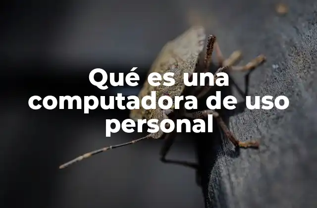 Qué es una Computadora de Uso Personal