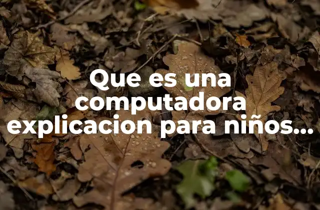 Que es una Computadora Explicacion para Niños de Preescolar