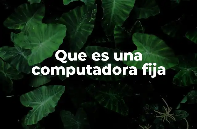 Que es una Computadora Fija