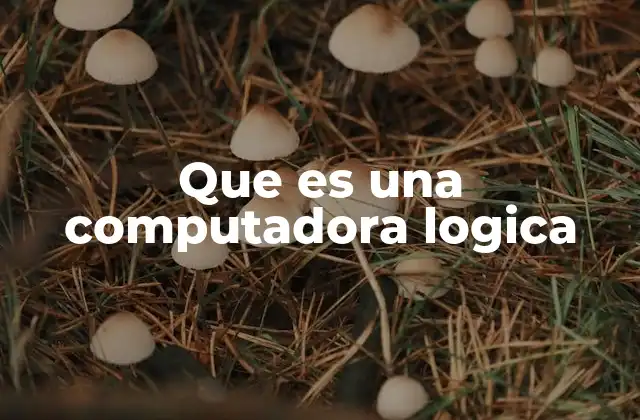 Que es una Computadora Logica