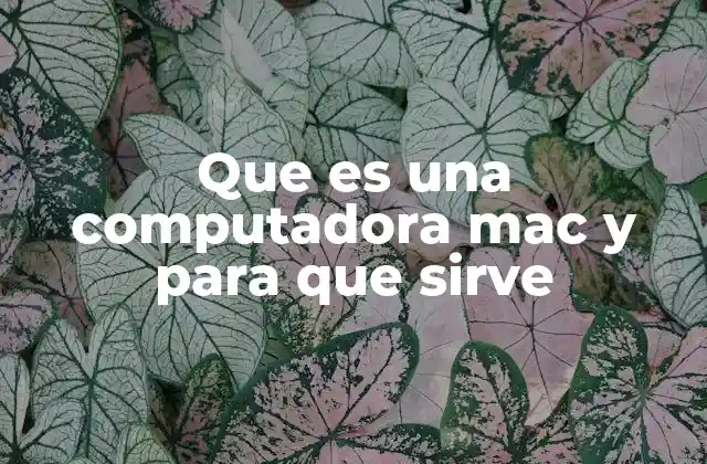 Que es una Computadora Mac y para que Sirve