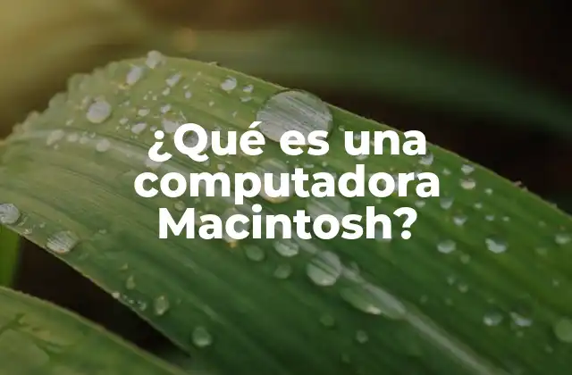 La evolución tecnológica detrás de la computadora Macintosh