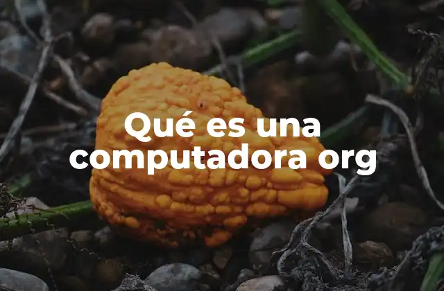 Qué es una Computadora Org 2 La importancia de las organizaciones tecnológicas no lucrativas