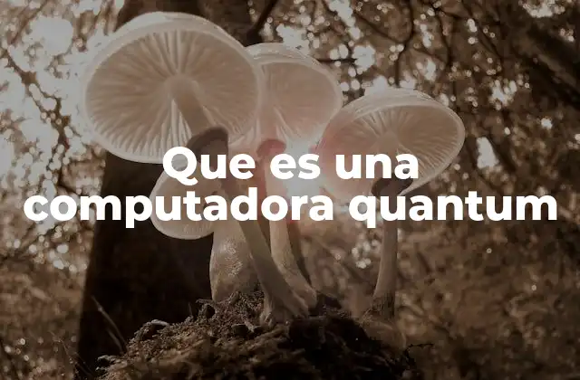 Que es una Computadora Quantum 2 La evolución de la computación hacia lo cuántico