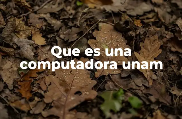 Que es una Computadora Unam