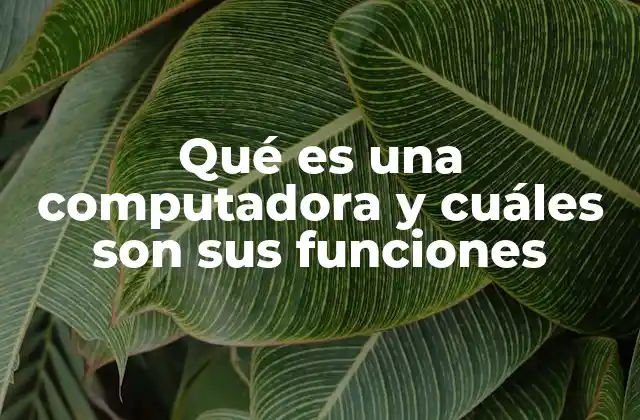 Qué es una Computadora y Cuáles Son Sus Funciones 2 La importancia de la computación en la vida cotidiana
