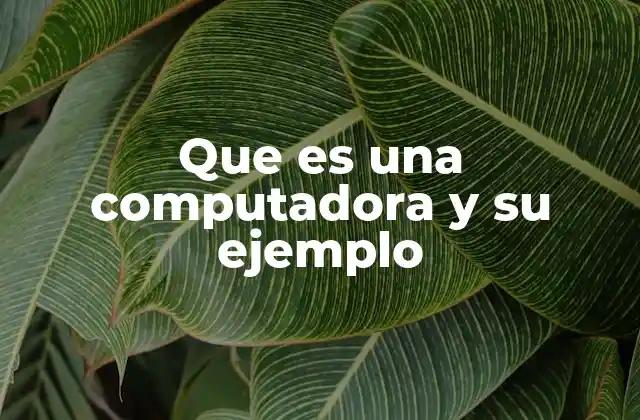 Que es una Computadora y Su Ejemplo