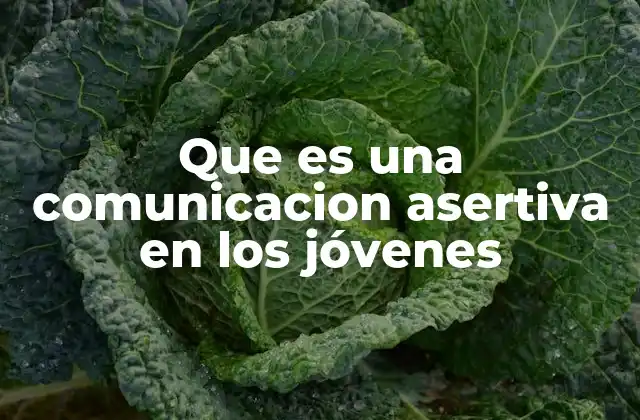 La importancia de la expresión clara en la adolescencia