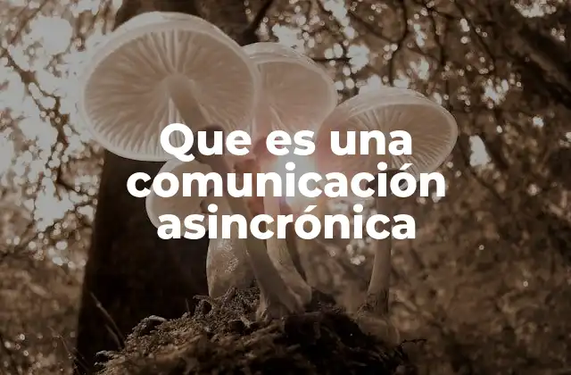 Que es una Comunicación Asincrónica