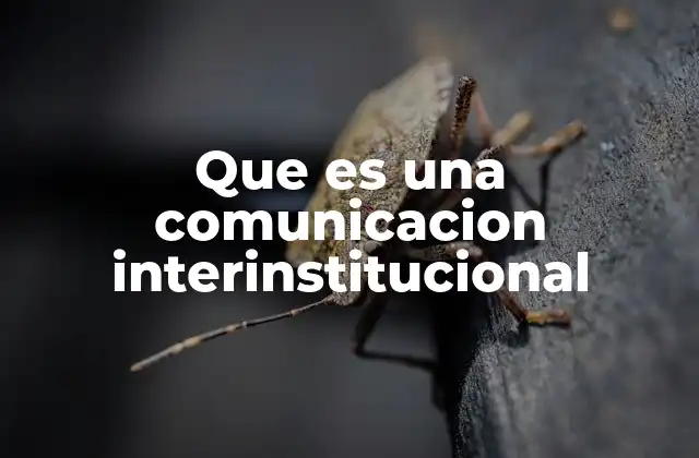 Que es una Comunicacion Interinstitucional