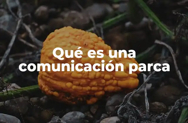 Qué es una Comunicación Parca