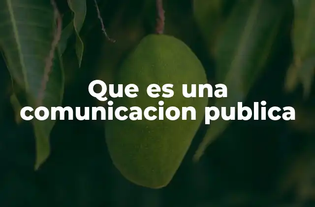 Que es una Comunicacion Publica 2 La importancia de la comunicación en contextos sociales y políticos
