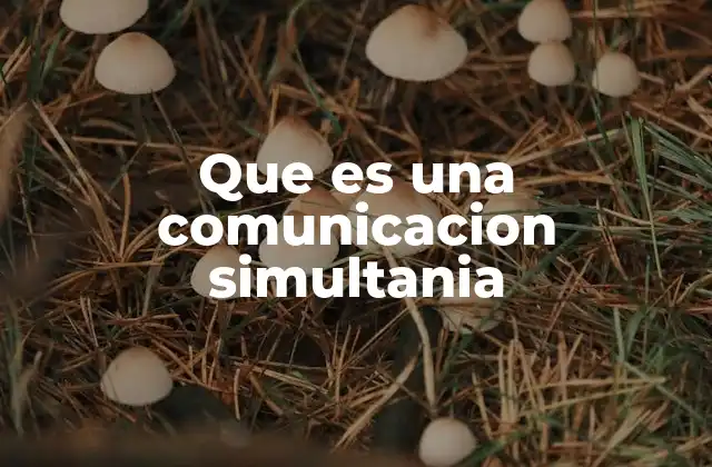 Que es una Comunicacion Simultania