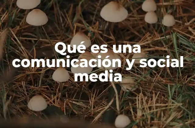 Qué es una Comunicación y Social Media