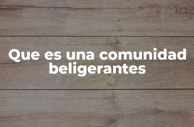 Que es una Comunidad Beligerantes