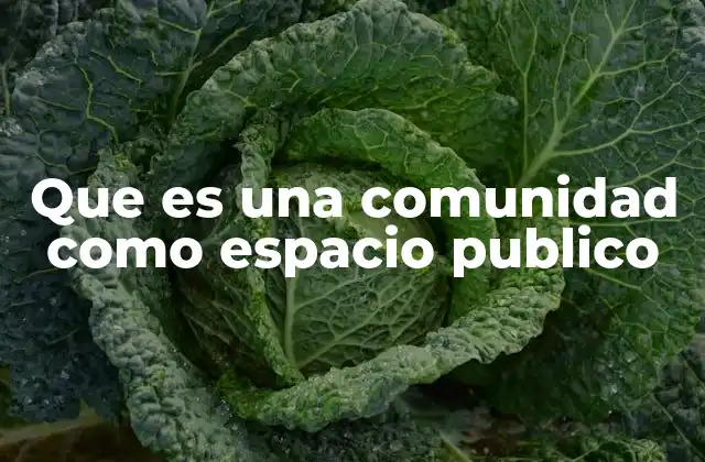 Que es una Comunidad como Espacio Publico 2 La interacción social en espacios compartidos