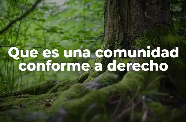 Las características que definen a una comunidad conforme a derecho