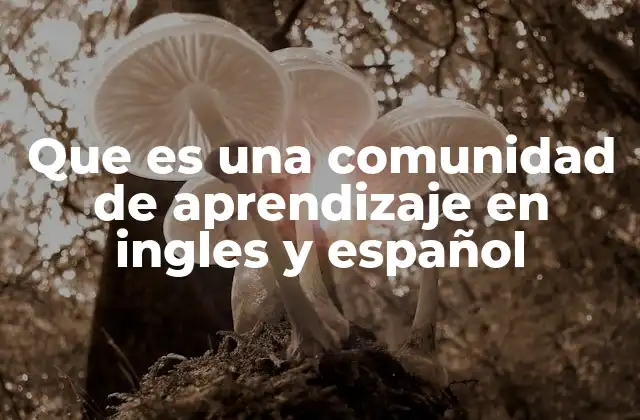 Que es una Comunidad de Aprendizaje en Ingles y Español