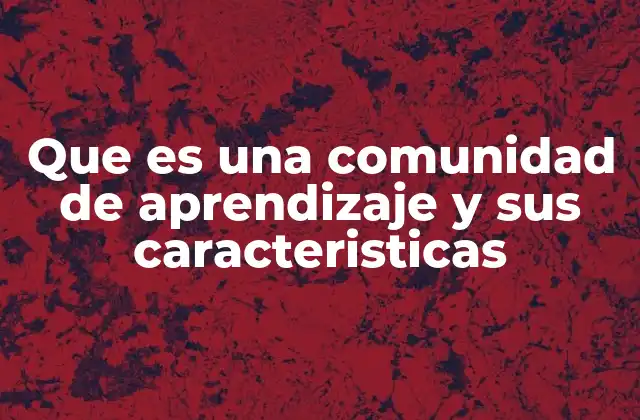 Que es una Comunidad de Aprendizaje y Sus Caracteristicas