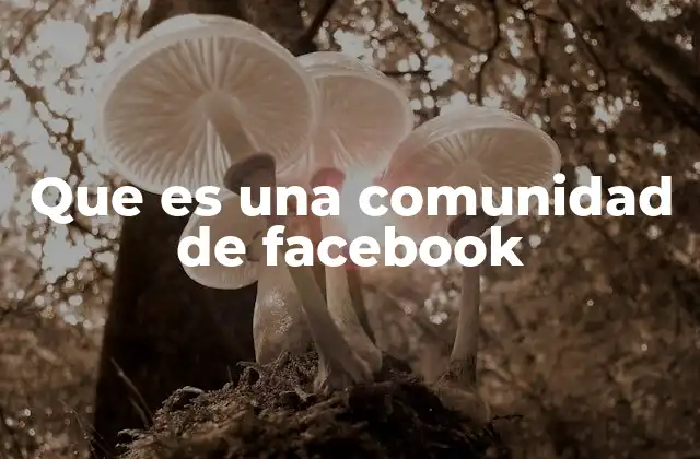 Que es una Comunidad de Facebook
