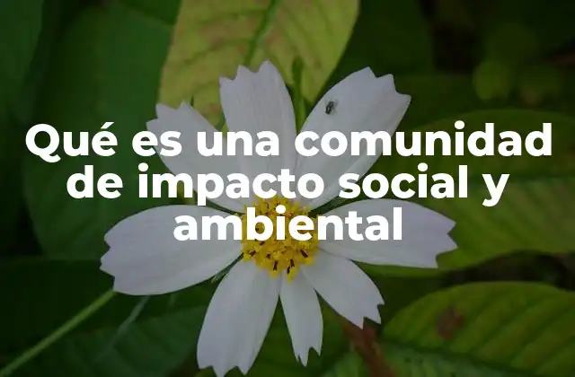 Qué es una Comunidad de Impacto Social y Ambiental