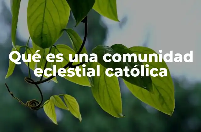 Qué es una Comunidad Eclestial Católica