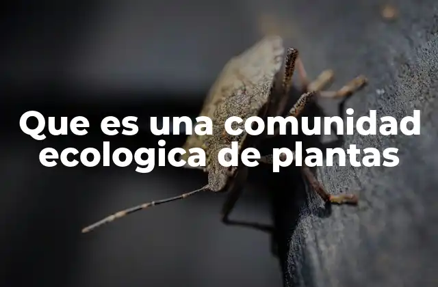 Que es una Comunidad Ecologica de Plantas 2 La importancia de las relaciones entre especies vegetales