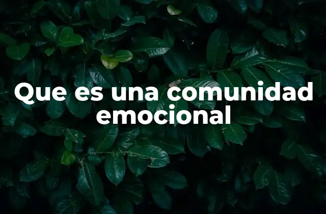 Que es una Comunidad Emocional