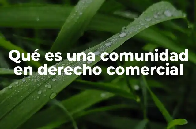 Qué es una Comunidad en Derecho Comercial