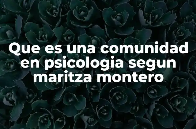 Que es una Comunidad en Psicologia Segun Maritza Montero