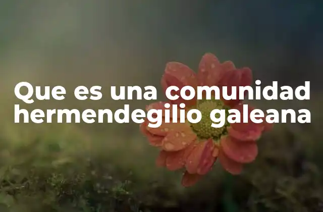 Que es una Comunidad Hermendegilio Galeana