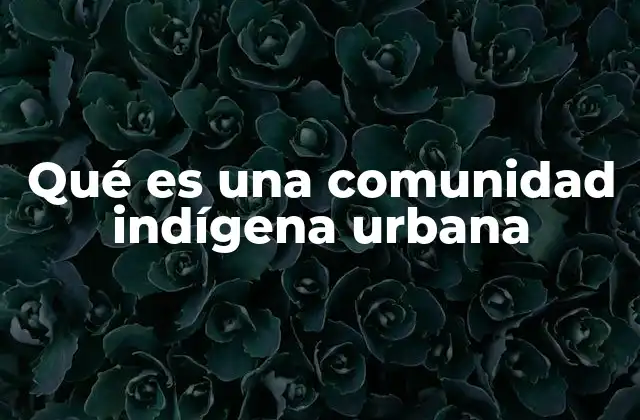 Qué es una Comunidad Indígena Urbana