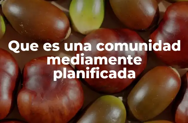 Que es una Comunidad Mediamente Planificada