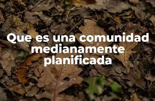 Que es una Comunidad Medianamente Planificada