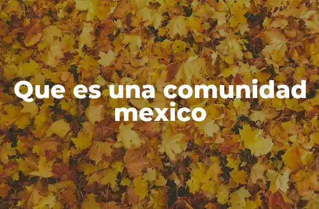 Que es una Comunidad Mexico