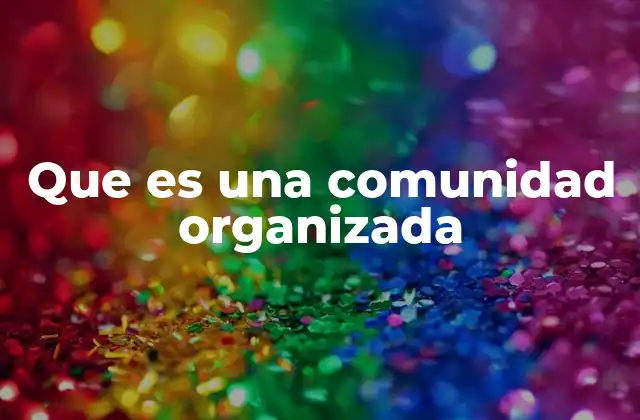 Que es una Comunidad Organizada 2 La importancia de la organización en el entorno comunitario