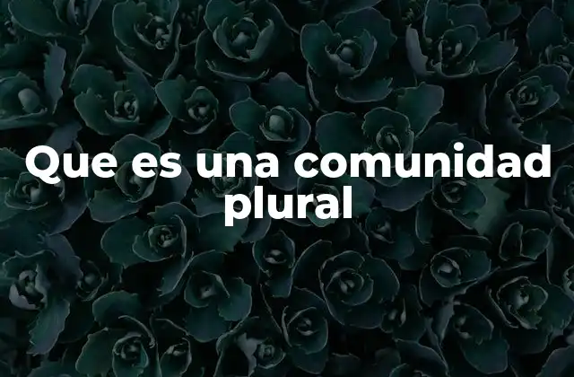 Que es una Comunidad Plural