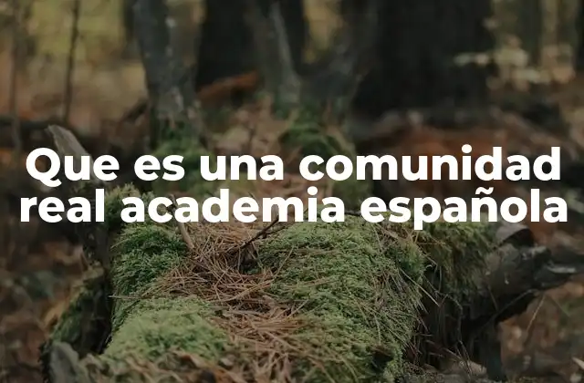Que es una Comunidad Real Academia Española
