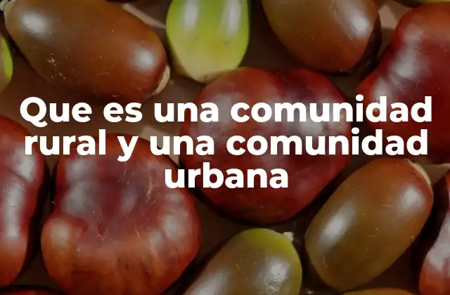 Que es una Comunidad Rural y una Comunidad Urbana