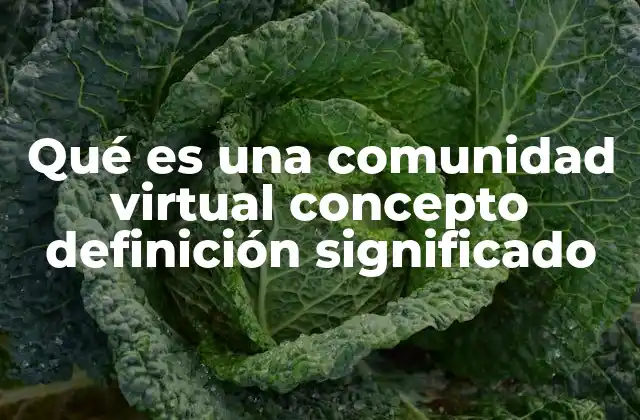 Qué es una Comunidad Virtual Concepto Definición Significado