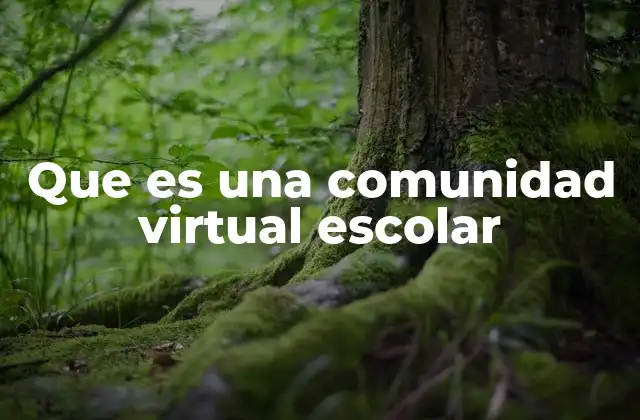 Que es una Comunidad Virtual Escolar