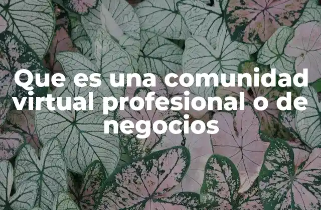Que es una Comunidad Virtual Profesional o de Negocios