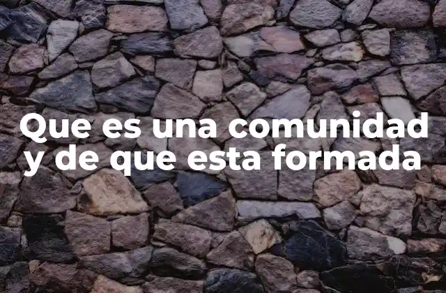 Que es una Comunidad y de que Esta Formada