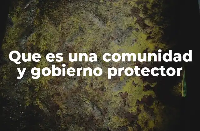 Que es una Comunidad y Gobierno Protector