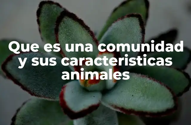 Que es una Comunidad y Sus Caracteristicas Animales
