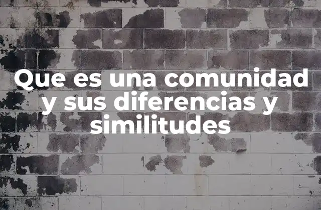 Que es una Comunidad y Sus Diferencias y Similitudes