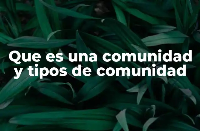 Que es una Comunidad y Tipos de Comunidad