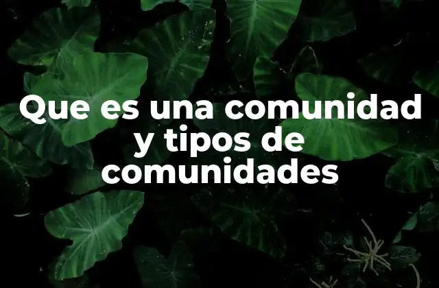 Que es una Comunidad y Tipos de Comunidades