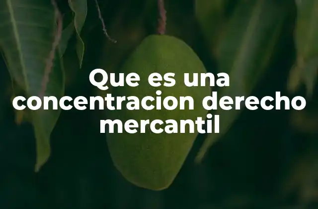 Que es una Concentracion Derecho Mercantil 2 El impacto de las concentraciones en el entorno empresarial